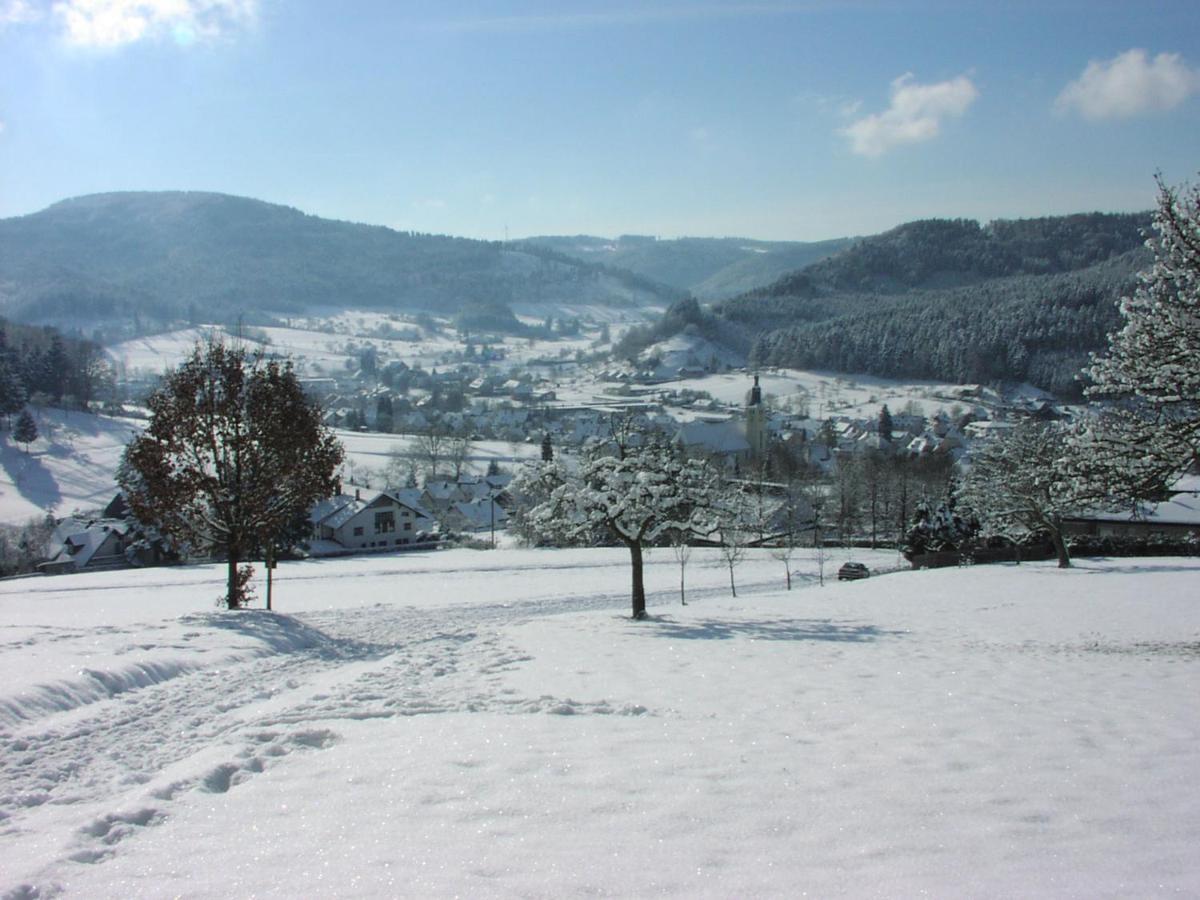 Schwarzwälder Ferienwohnungen Seelbach  Exterior foto