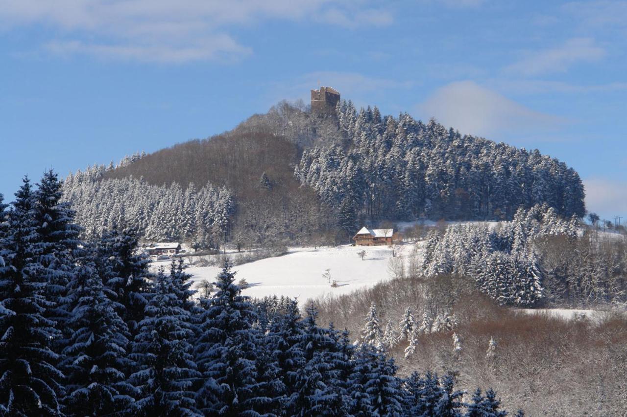 Schwarzwälder Ferienwohnungen Seelbach  Exterior foto